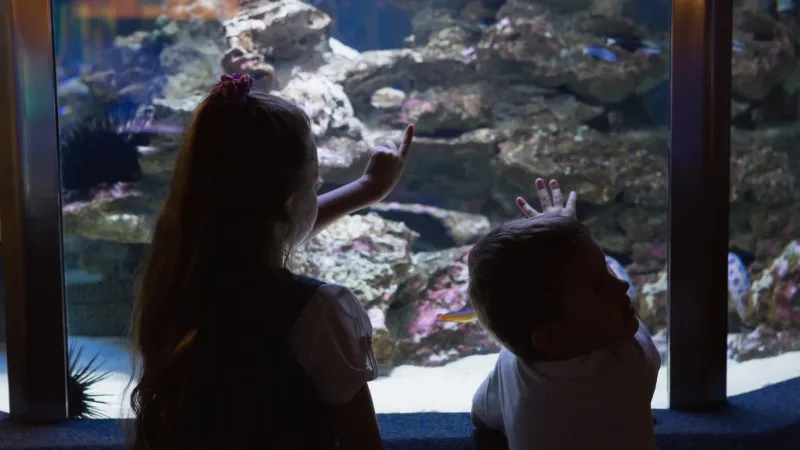 El Gouna: Grand Aquarium & Zoo Tickets with Hotel Transfers - Photo 4
