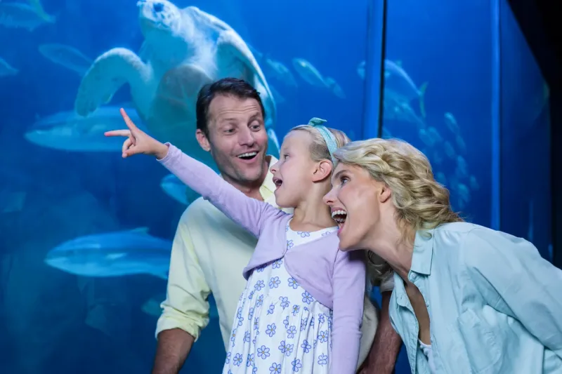 El Gouna: Grand Aquarium & Zoo Tickets with Hotel Transfers - Photo 5