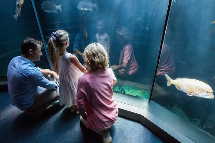 El Gouna: Grand Aquarium & Zoo Tickets with Hotel Transfers - Photo 6