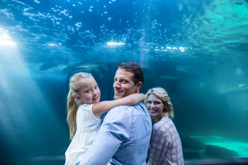 El Gouna: Grand Aquarium & Zoo Tickets with Hotel Transfers - Photo 7