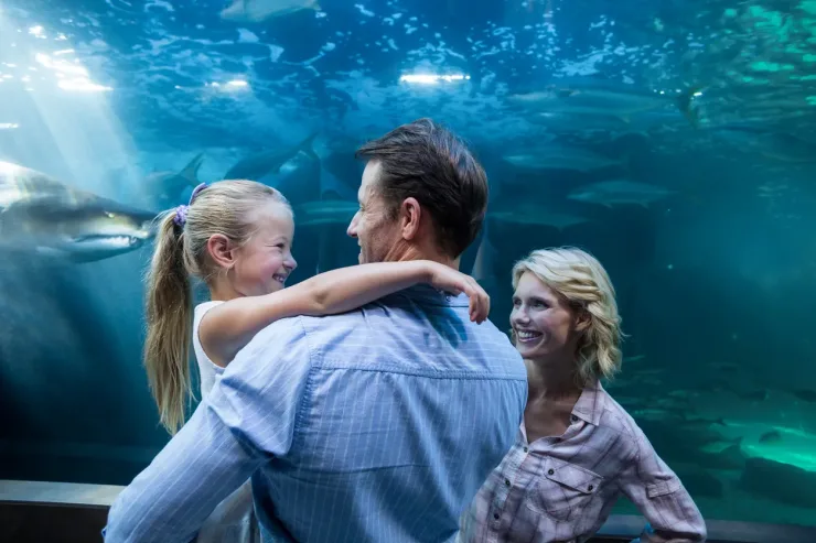 El Gouna: Grand Aquarium & Zoo Tickets with Hotel Transfers - Photo 8