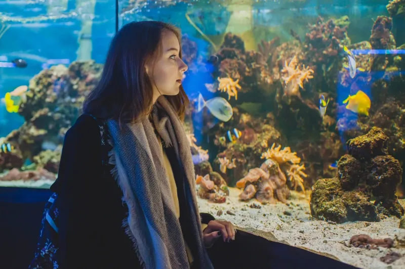 El Gouna: Grand Aquarium & Zoo Tickets with Hotel Transfers - Photo 11
