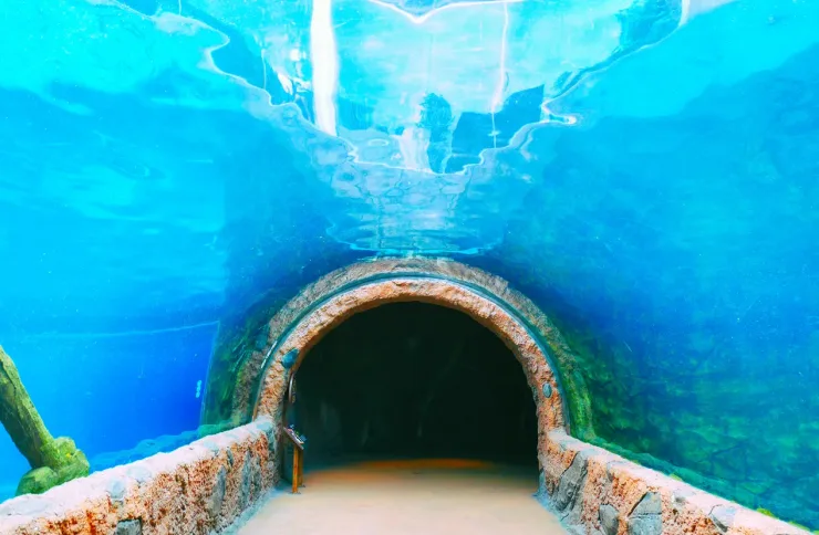El Gouna: Grand Aquarium & Zoo Tickets with Hotel Transfers - Photo 12