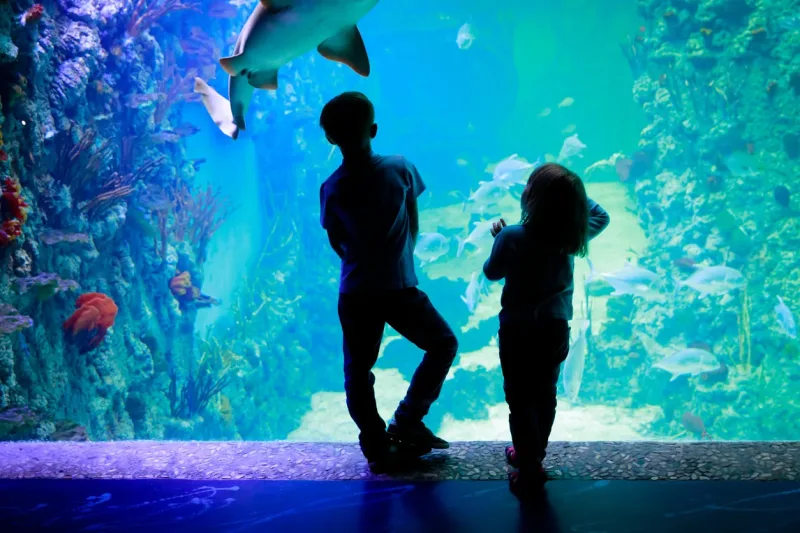 El Gouna: Grand Aquarium & Zoo Tickets with Hotel Transfers - Photo 13