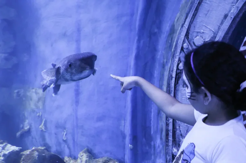 El Gouna: Grand Aquarium & Zoo Tickets with Hotel Transfers - Photo 16