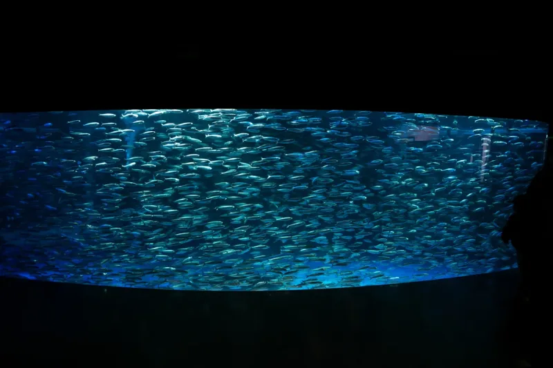 El Gouna: Grand Aquarium & Zoo Tickets with Hotel Transfers - Photo 19