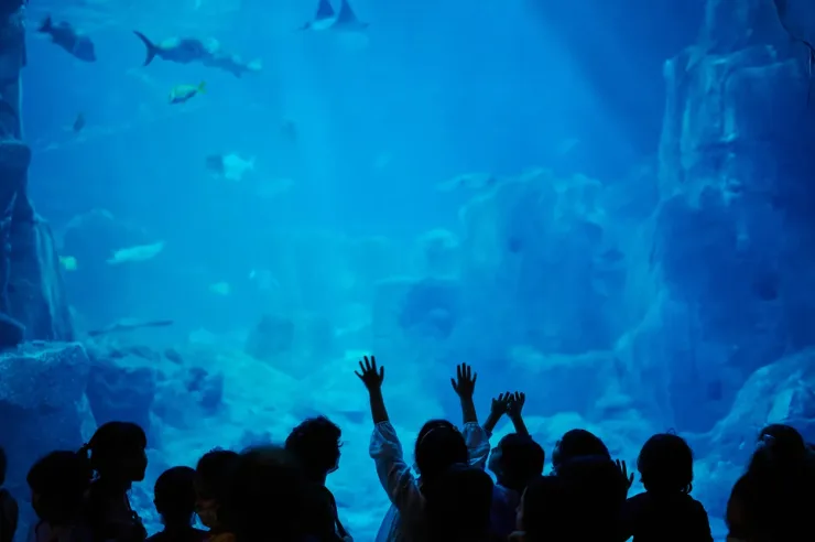 El Gouna: Grand Aquarium & Zoo Tickets with Hotel Transfers - Photo 21
