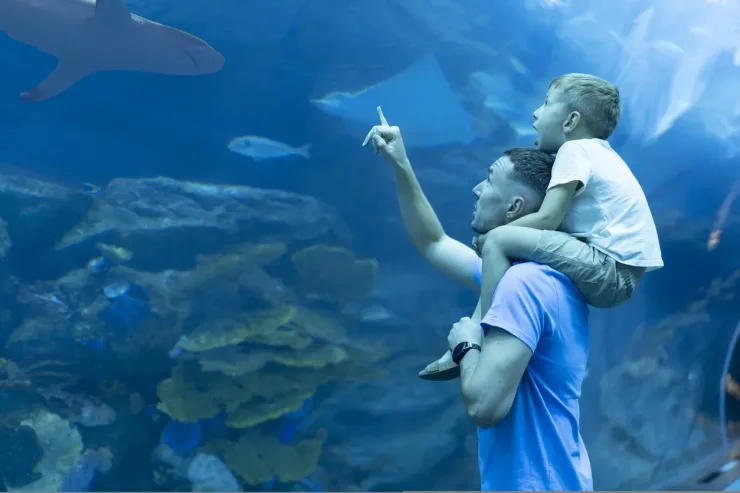 El Gouna: Grand Aquarium & Zoo Tickets with Hotel Transfers - Photo 23