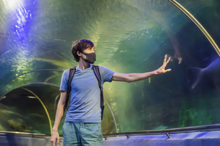 El Gouna: Grand Aquarium & Zoo Tickets with Hotel Transfers - Photo 24
