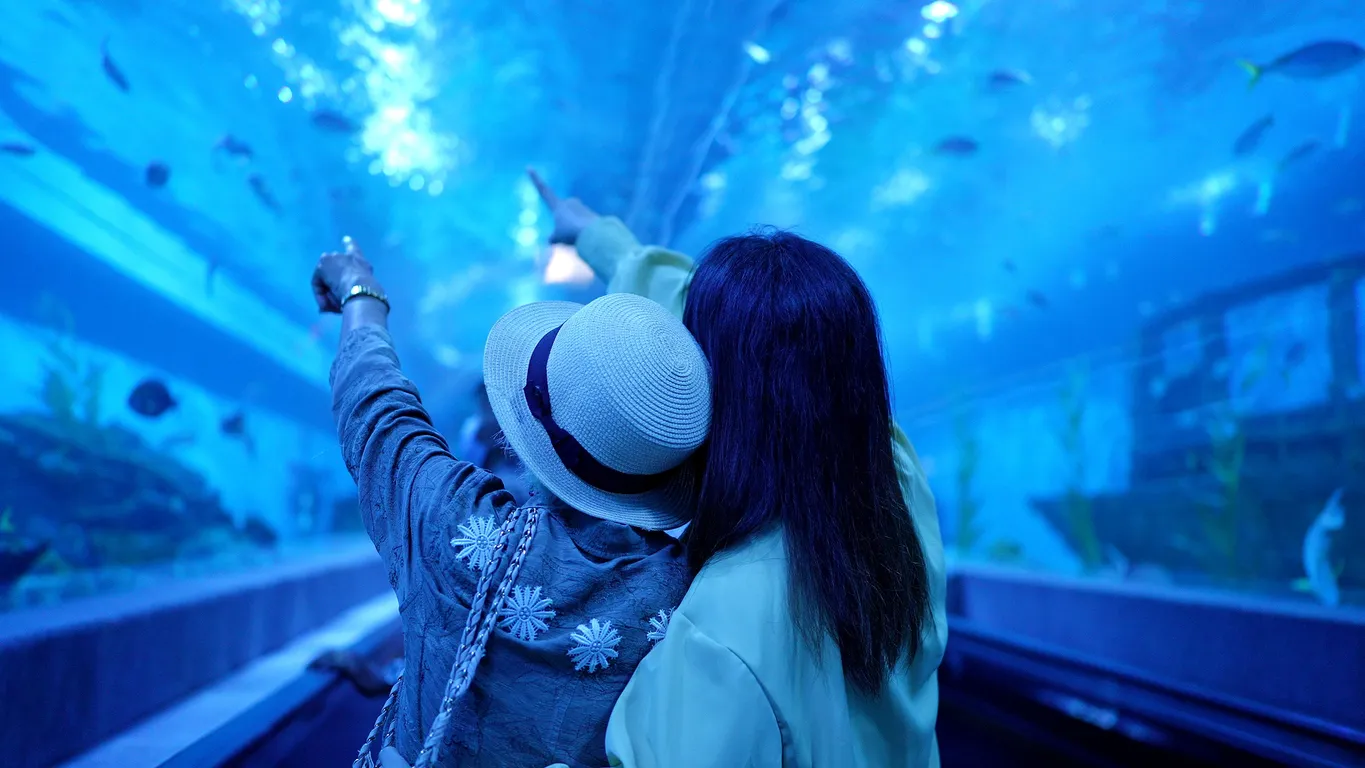 El Gouna: Grand Aquarium & Zoo Tickets with Hotel Transfers