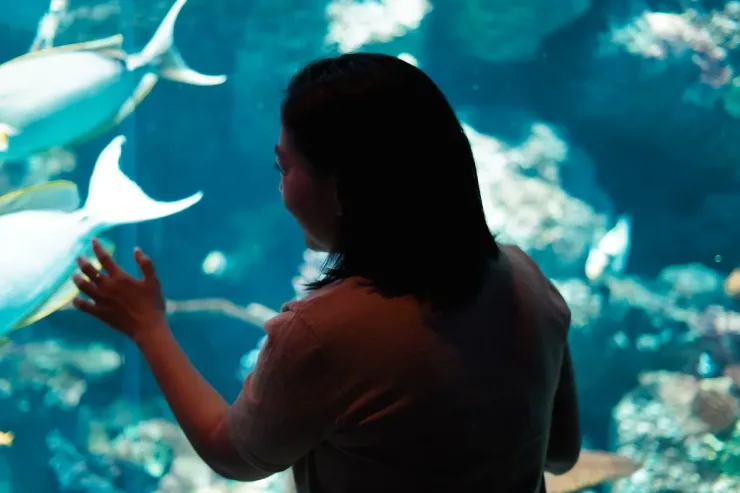 El Gouna: Grand Aquarium & Zoo Tickets with Hotel Transfers - Photo 26