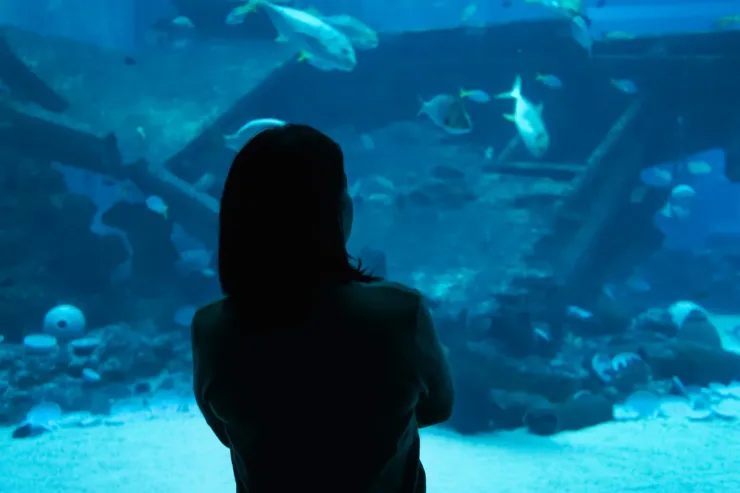 El Gouna: Grand Aquarium & Zoo Tickets with Hotel Transfers - Photo 27