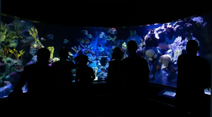 El Gouna: Grand Aquarium & Zoo Tickets with Hotel Transfers - Photo 33