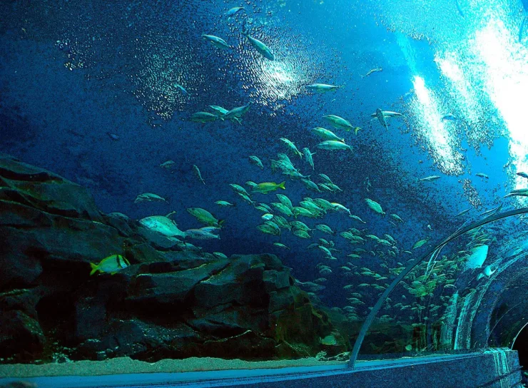 El Gouna: Grand Aquarium & Zoo Tickets with Hotel Transfers - Photo 34