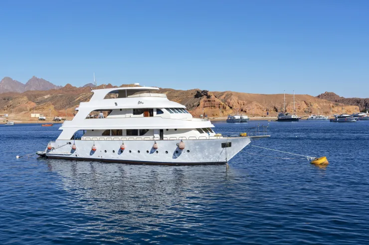 Sharm El Sheikh: Luxury Boat Cruise with Snorkeling & Lunch - Photo 5