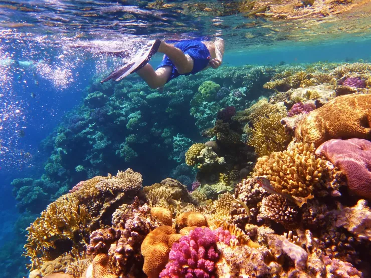 Sharm El Sheikh: Luxury Boat Cruise with Snorkeling & Lunch - Photo 15