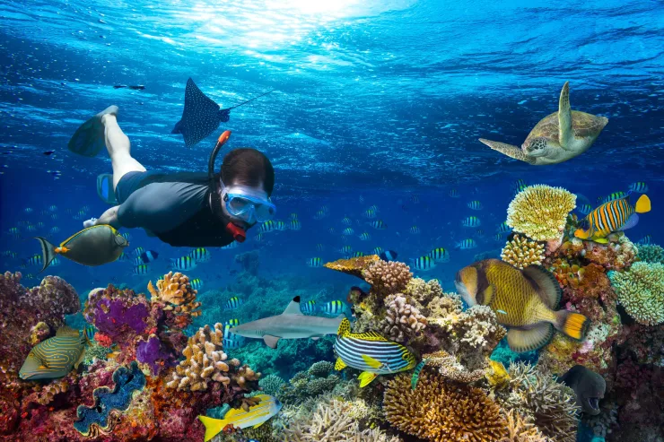 Sharm El Sheikh: Luxury Boat Cruise with Snorkeling & Lunch - Photo 17