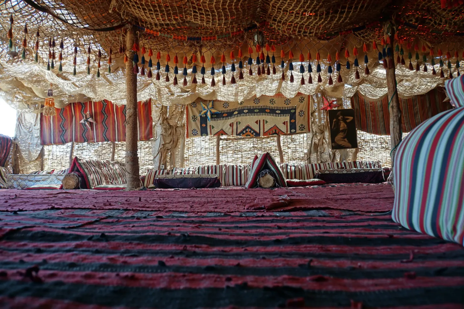 Sharm El Sheikh: ATV Tour, Stargazing, Camel, Dinner, & Show - Photo 6