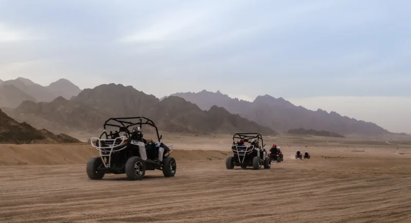Sharm El Sheikh: ATV Tour, Stargazing, Camel, Dinner, & Show - Photo 4