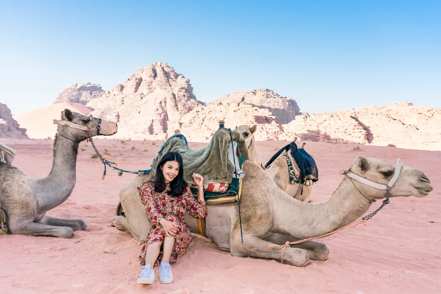 Sharm El Sheikh: ATV Tour, Stargazing, Camel, Dinner, & Show - Photo 20