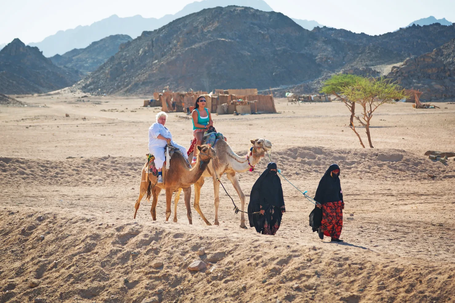Sharm El Sheikh: ATV Tour, Stargazing, Camel, Dinner, & Show - Photo 12