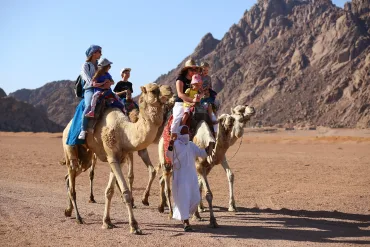 Sharm El Sheikh: ATV Tour, Stargazing, Camel, Dinner, & Show - Photo 3