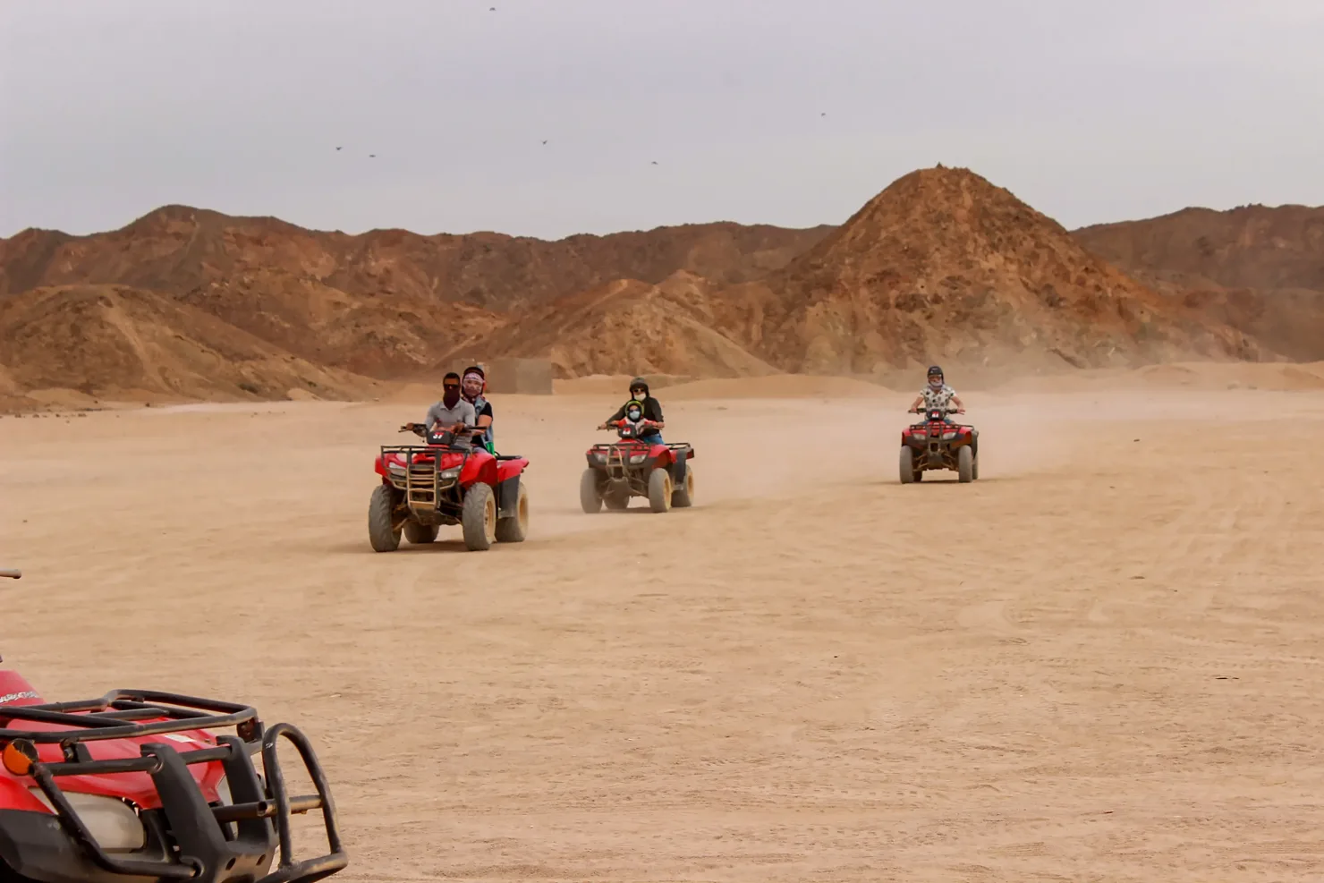 Sharm El Sheikh: ATV Tour, Stargazing, Camel, Dinner, & Show - Photo 22