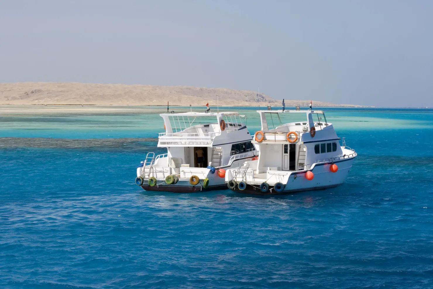 Hurghada: Orange Island Snorkeling, Diving with lunch - Photo 4
