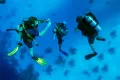 Hurghada: Snorkeling i Nurkowanie na Orange Island z Lunchem