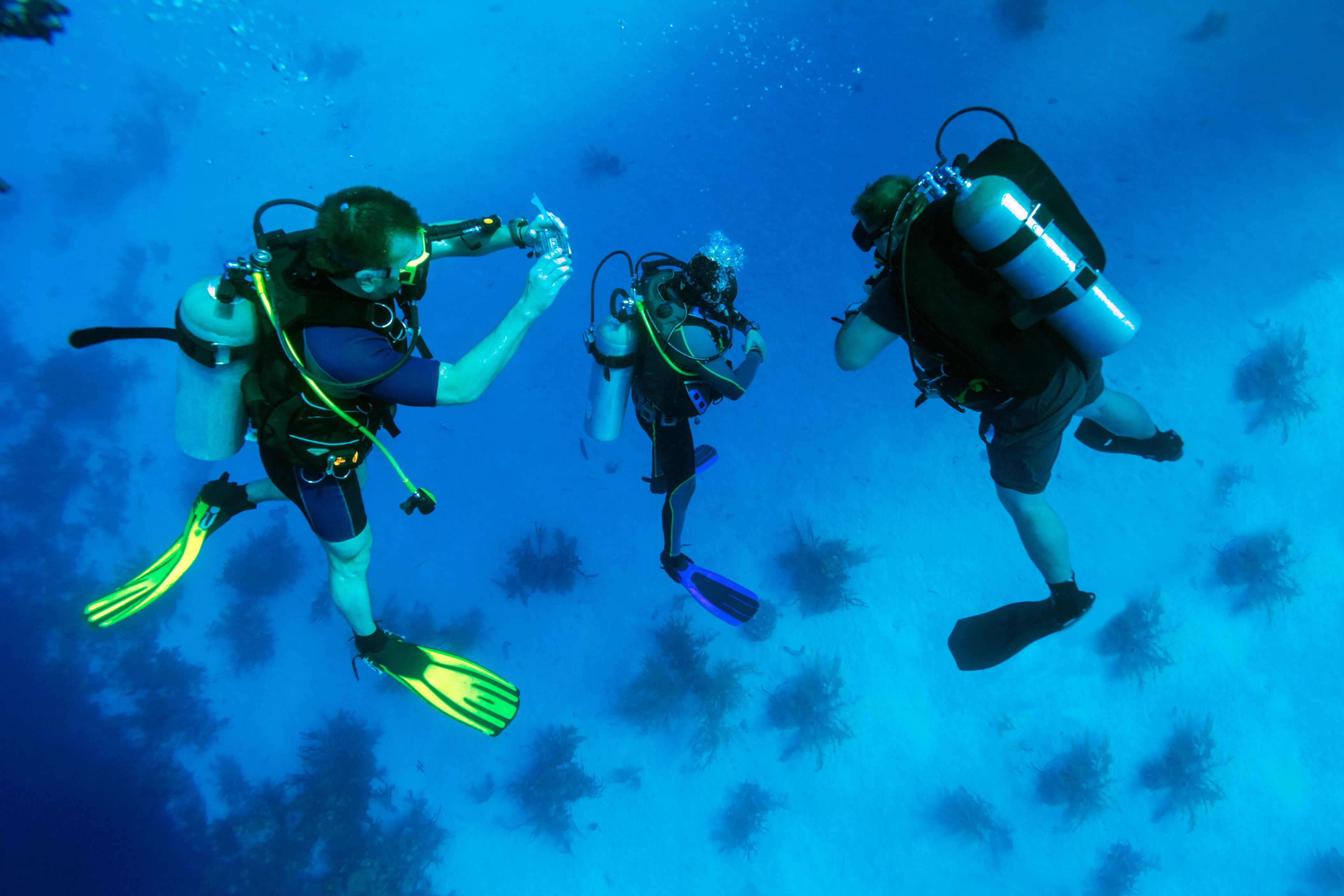 Hurghada : Snorkeling et Plongée à Orange Island avec Déjeuner