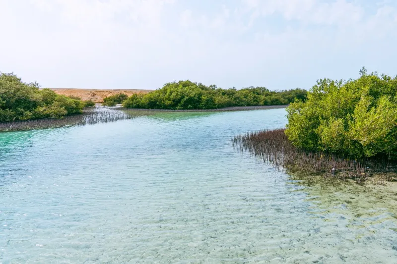 Z Sharm El Sheikh: Brama Allah, Pęknięcie Ziemi i wycieczka po namorzynach – zdjęcie 18