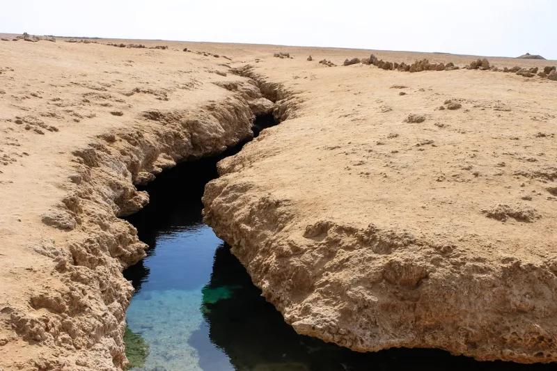 Z Sharm El Sheikh: Brama Allah, Pęknięcie Ziemi i wycieczka po namorzynach – zdjęcie 11