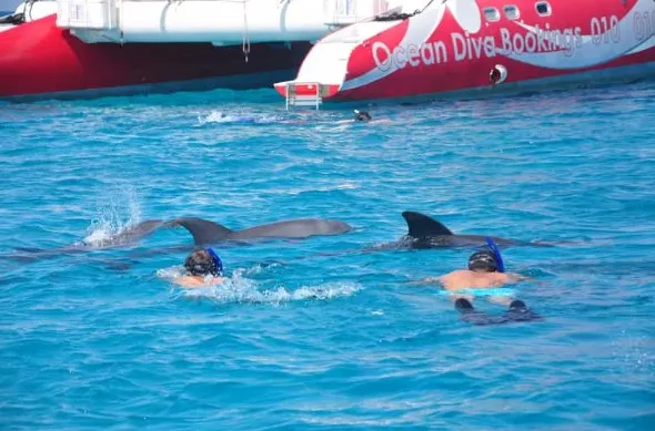 From Soma Bay: Catamaran Sailing Cruise with Snorkeling and Lunch