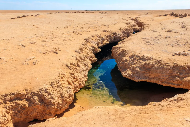 Sharm El-Sheikh: National Park of Ras Mohammed & Magic Lake Day Tour - Photo 24