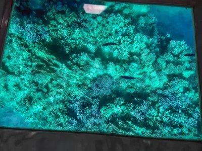 Sharm El Sheikh: Panoramatická plavba loďou so skleneným dnom