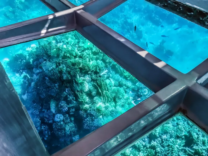 Sharm El Sheikh: Panoramiczna przygoda łodzią ze szklanym dnem – zdjęcie 3