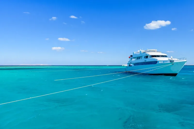Sharm El Sheikh: Private Yacht Trip with Lunch and Drinks - Photo 48