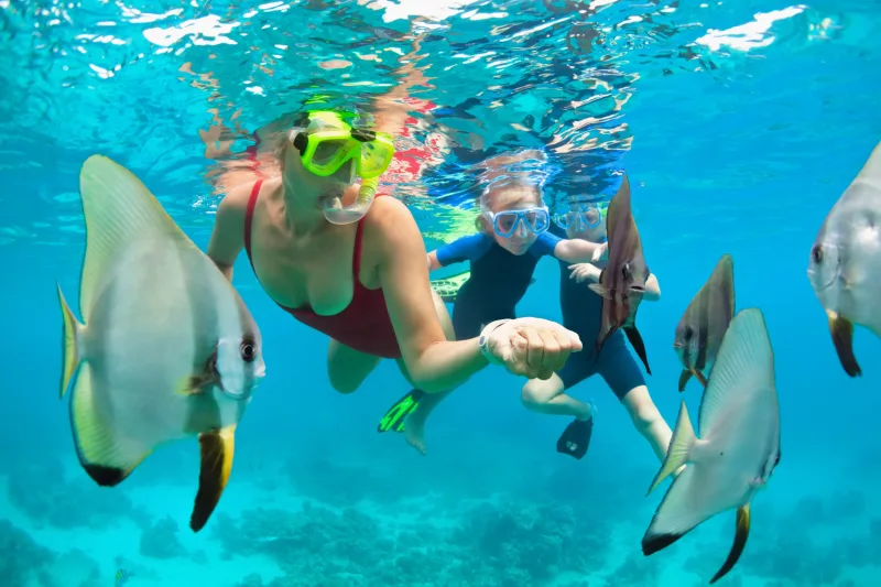 From El Gouna: Orange Bay Island Trip & Snorkeling & Lunch - Photo 3
