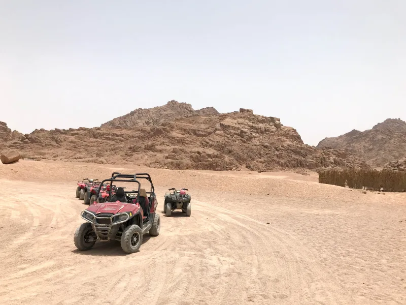 Hurghada: Quad, Jeep, Camel, and Buggy Safari with BBQ Dinner - Photo 10