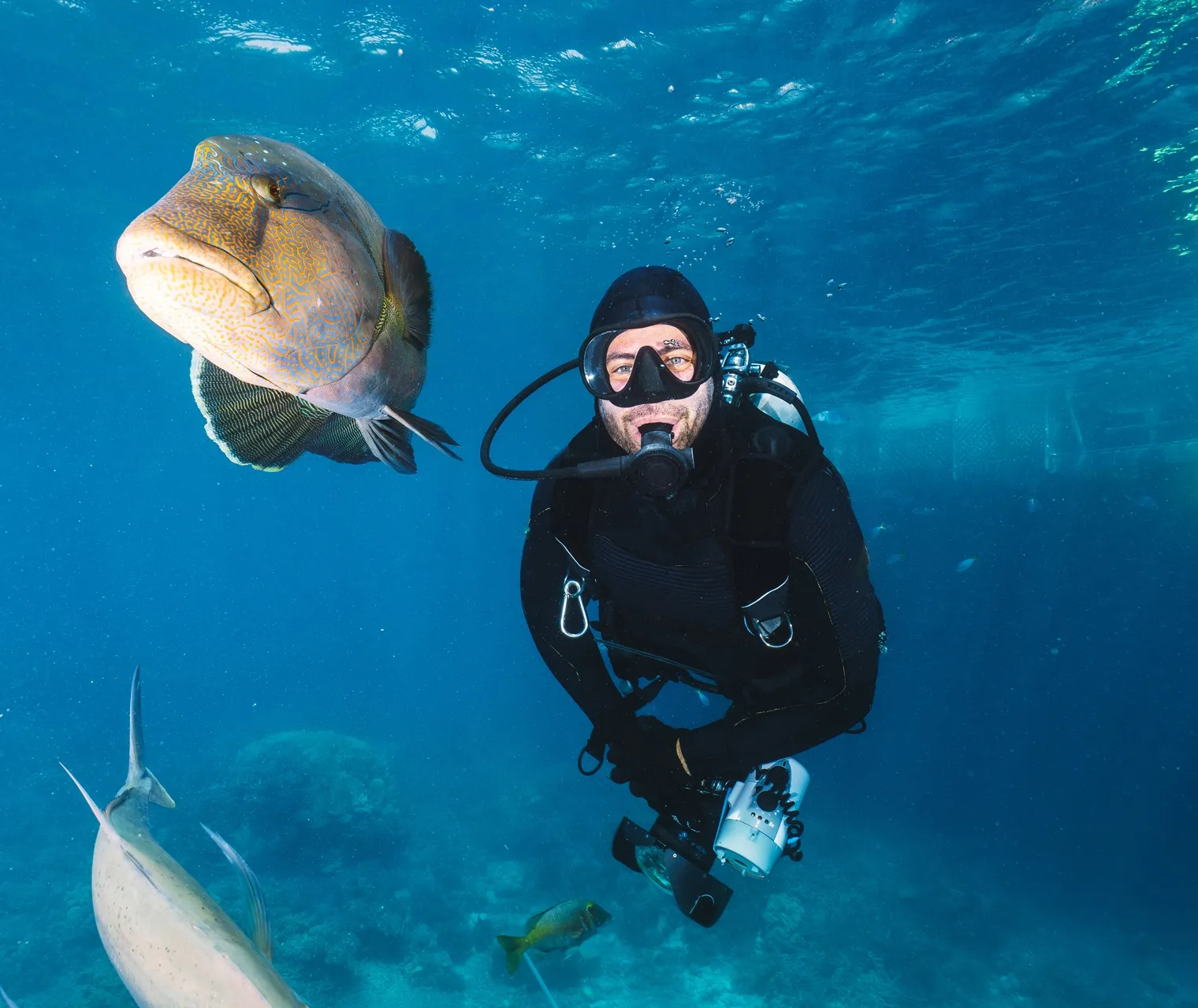 Sharm El Sheikh : Plongée sous-marine pour débutants avec déjeuner et transfert