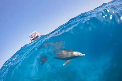 Hurghada: Wycieczka Łodzią z Obserwacją Delfinów, Snorkelingiem i Lunchem