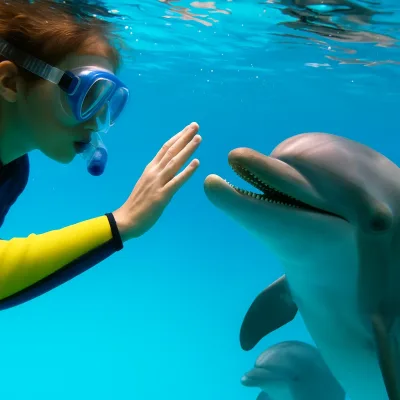 Hurghada: Dolfijnen spotten boottocht met snorkelen en lunch