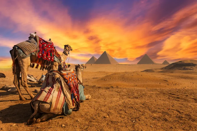 Hurghada: Cairo Museum, Giza Plateau, and Giza Pyramids Tour - Photo 24
