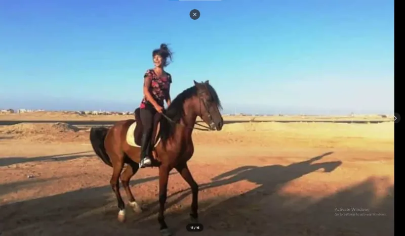Sharm: ATV Safari, Horse Ride & Camel Ride with Breakfast - Photo 3