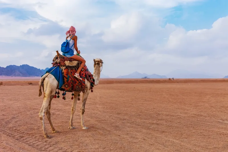 Sharm: ATV Safari, Horse Ride & Camel Ride with Breakfast - Photo 19