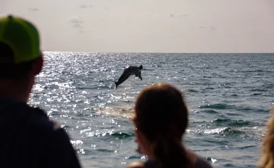 Makadi Bay: Dolphin Watching Boat Tour With Private Transfers