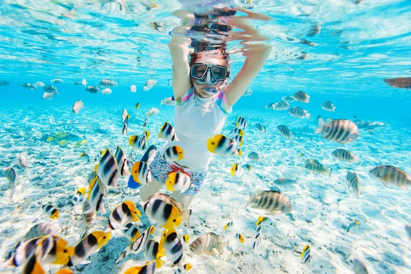 Sharm El Sheikh: Ras Mohammed, White Island, Snorkeling, Boat Trip with Lunch & Hotel Pick Up - Photo 32