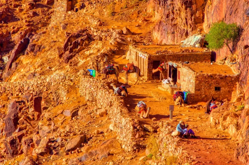 Sharm El Sheikh: Mount Moses & Monastery Sunrise Hike - Photo 25