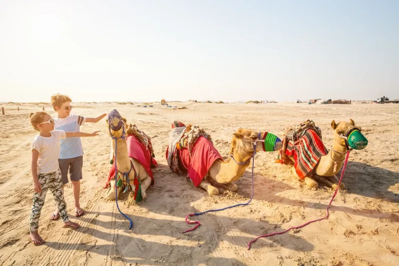 Sharm El Sheikh: Przygoda na quadzie i buggy – zdjęcie 14