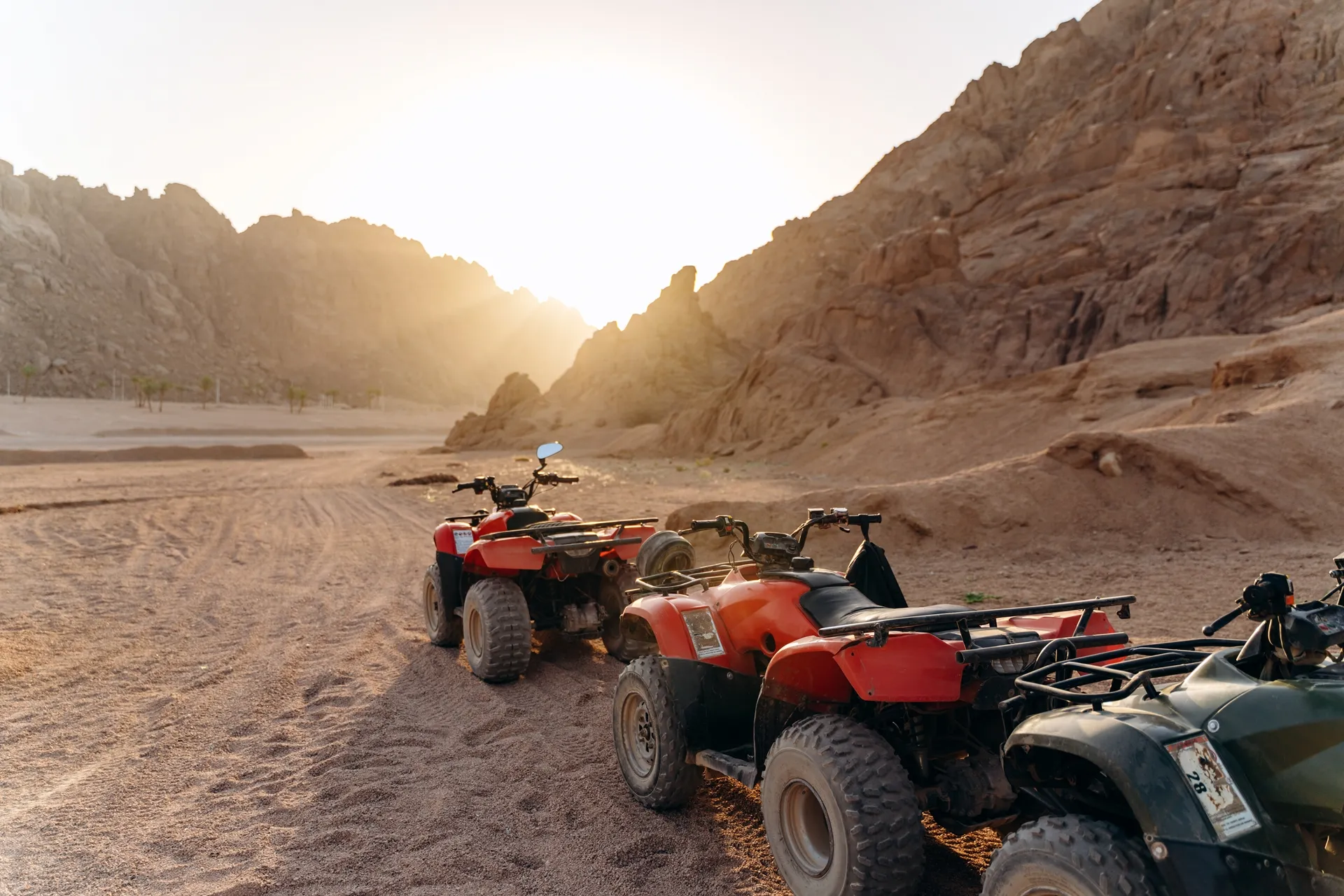Sharm El Sheikh: ATV Quad Bike Ride & Camel Ride at Sunrise